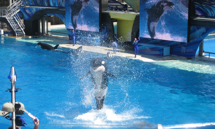 A visit to Sea World July 2014