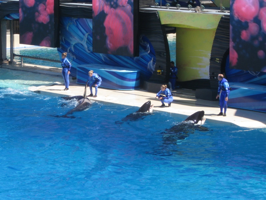 A visit to Sea World July 2014