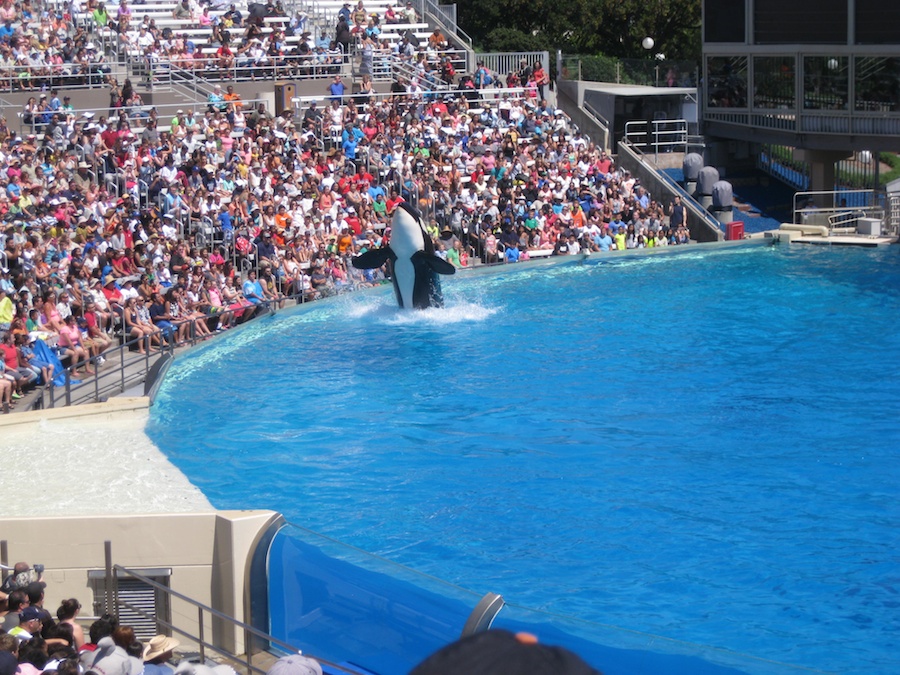 A visit to Sea World July 2014