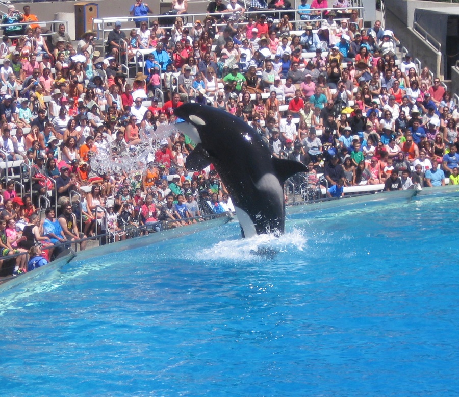 A visit to Sea World July 2014