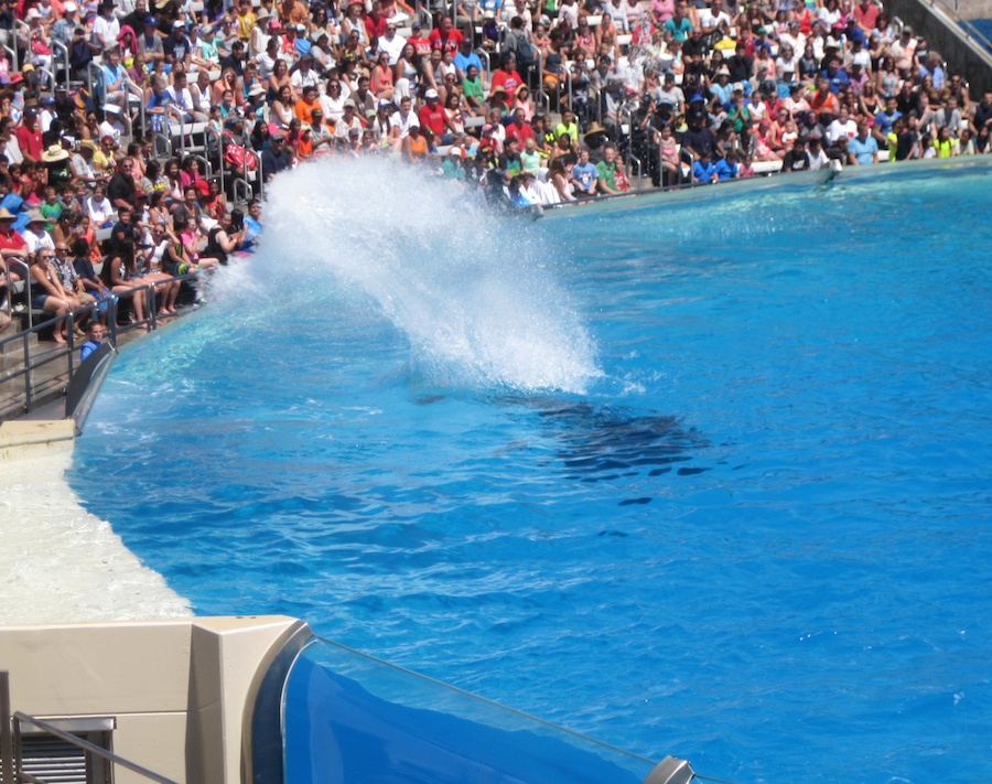 A visit to Sea World July 2014