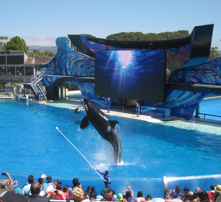 A visit to Sea World July 2014