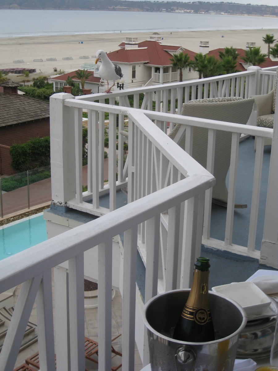 A visit to the Hotel Del Coronado July 2014