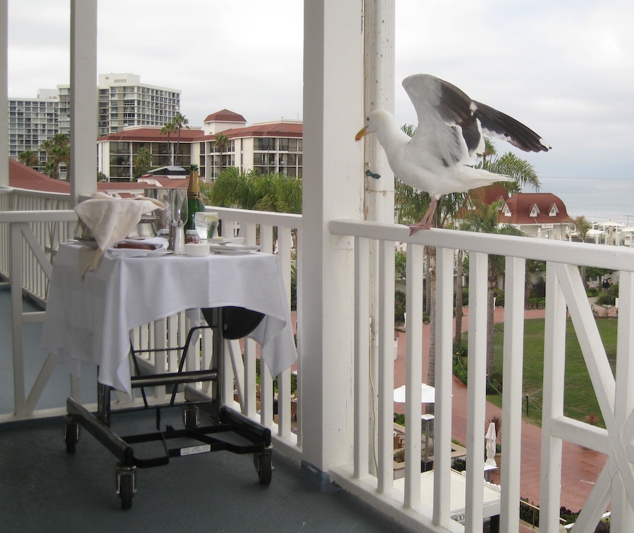 A visit to the Hotel Del Coronado July 2014