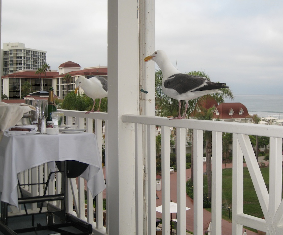 A visit to the Hotel Del Coronado July 2014