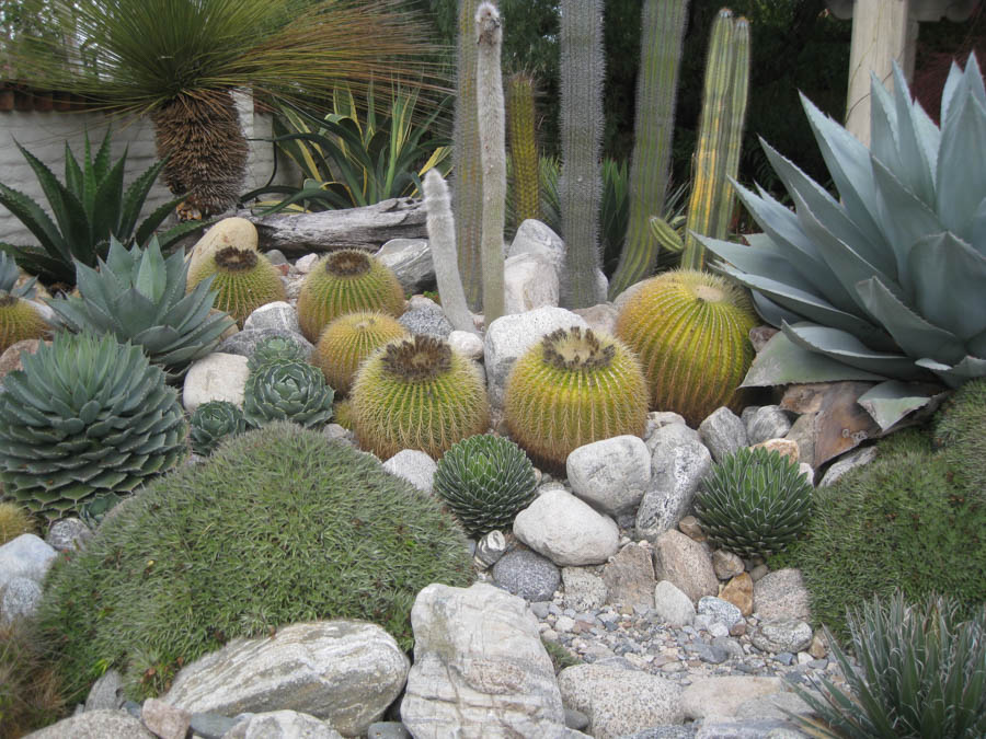 Lunch and a walk through Sherman Gardens in Corona Del Mar January 22, 2015