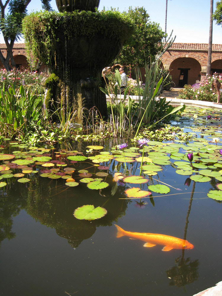 San Juan Capistrano 2009