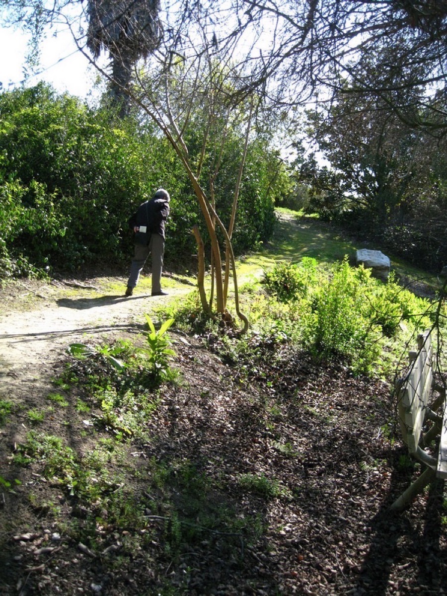 South Coast Botanic Garden March 2010