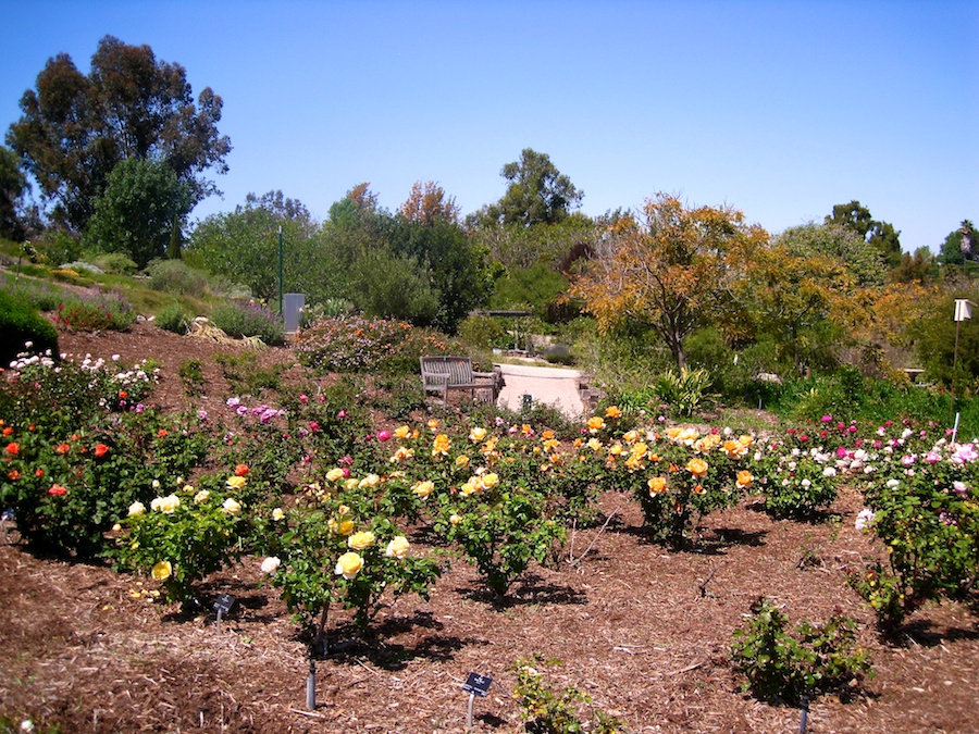 South Coast Botanic Garden April 2012