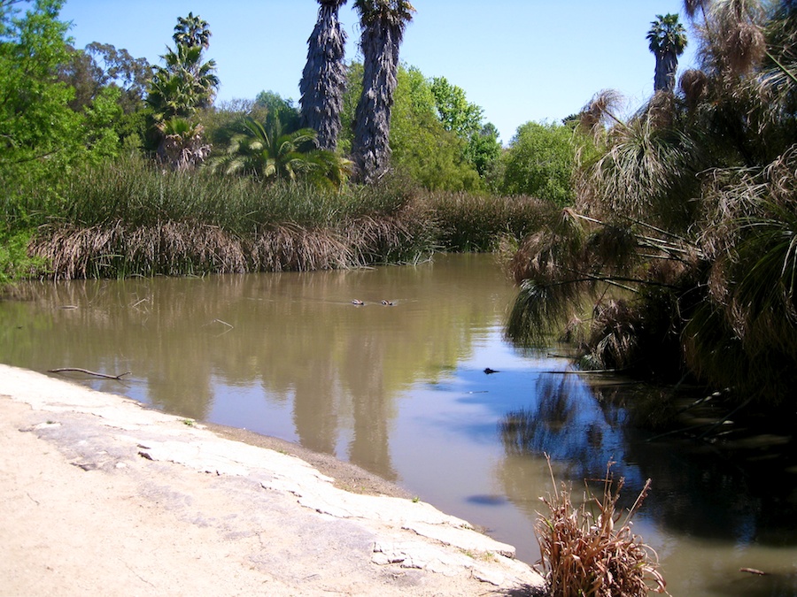 South Coast Botanic Garden April 2012