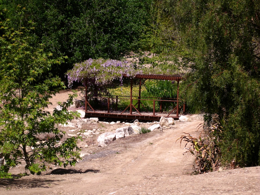 South Coast Botanic Garden April 2012