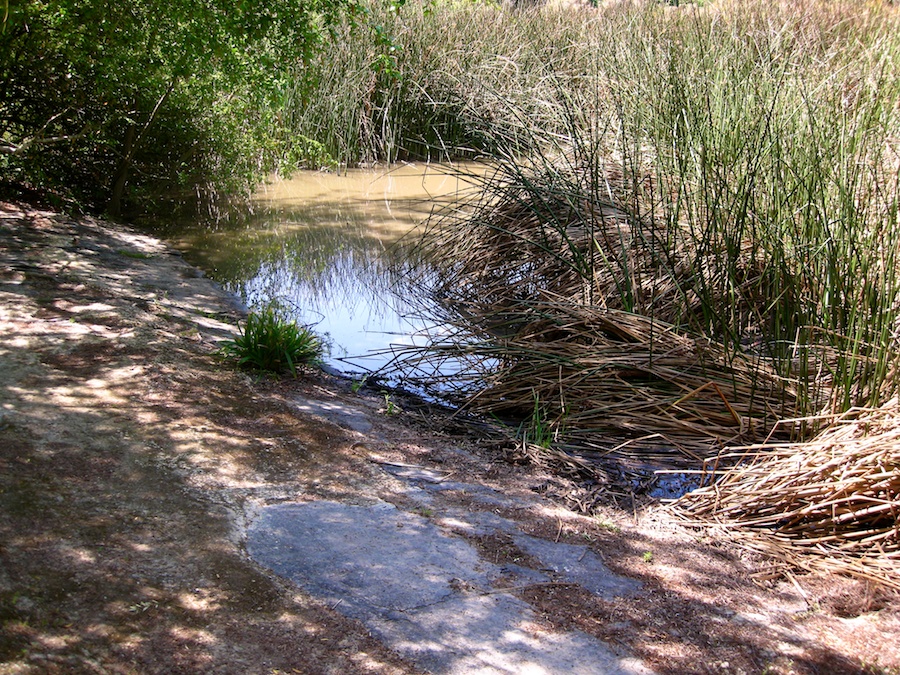 South Coast Botanic Garden April 2012