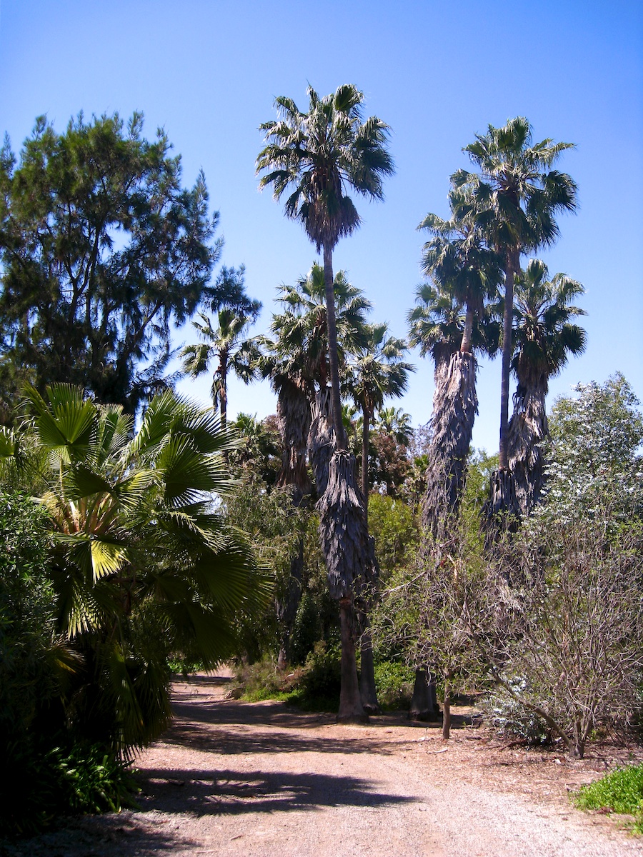 South Coast Botanic Garden April 2012