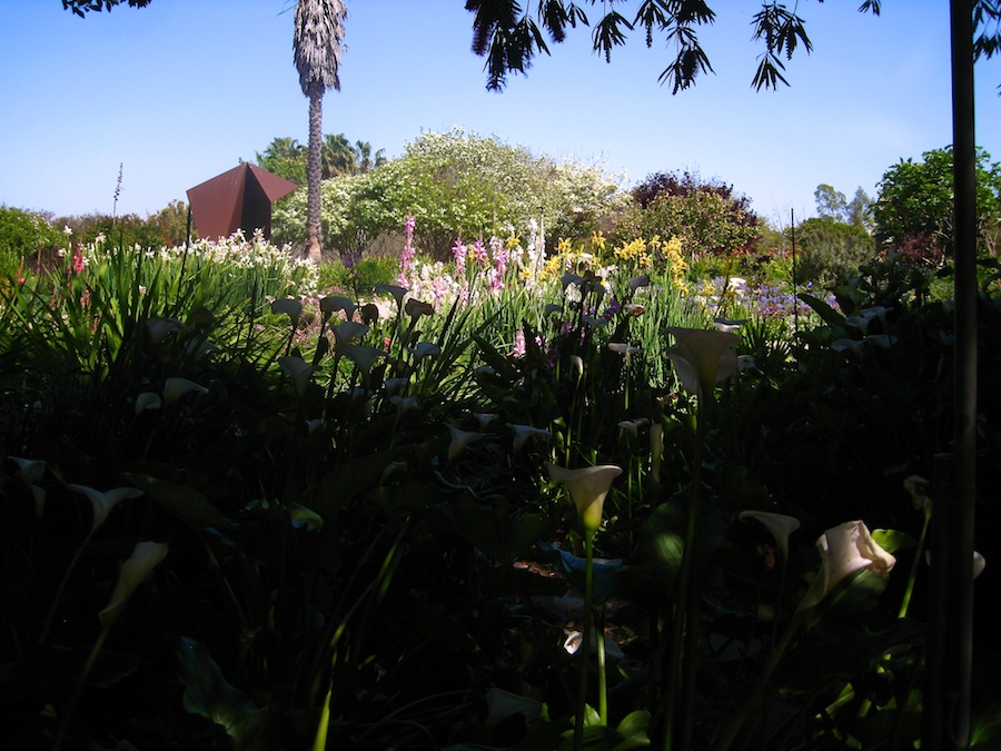 South Coast Botanic Garden April 2012