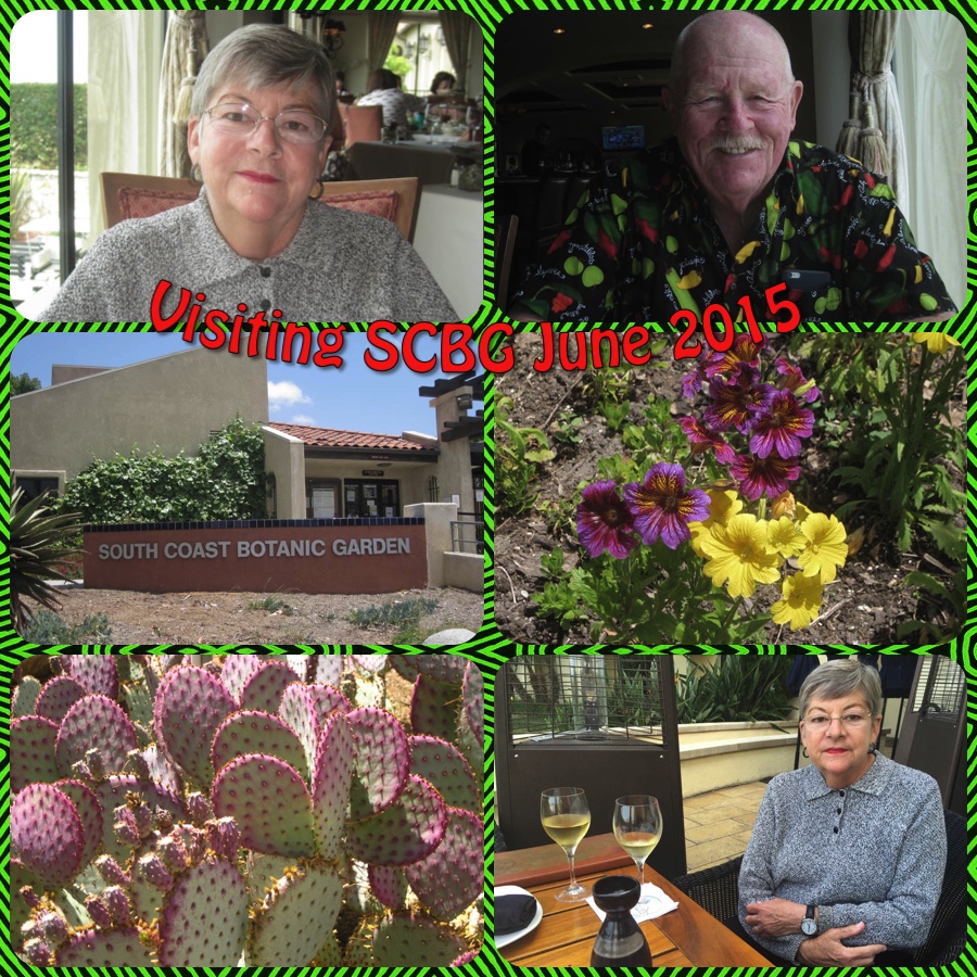 Visiting the South Coast Botanical Garden June 3rd 2015