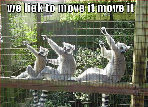 We likes to move