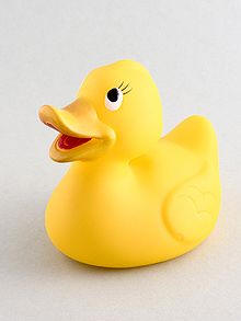 Rubber Duck