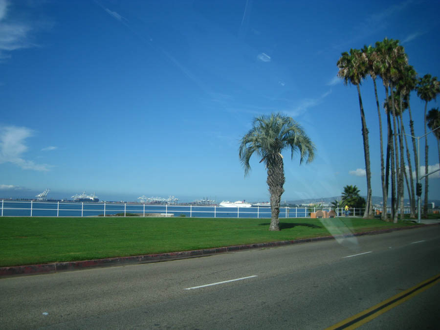 Avalon Catalina to celebrate Sue's birthday 7/10/2015