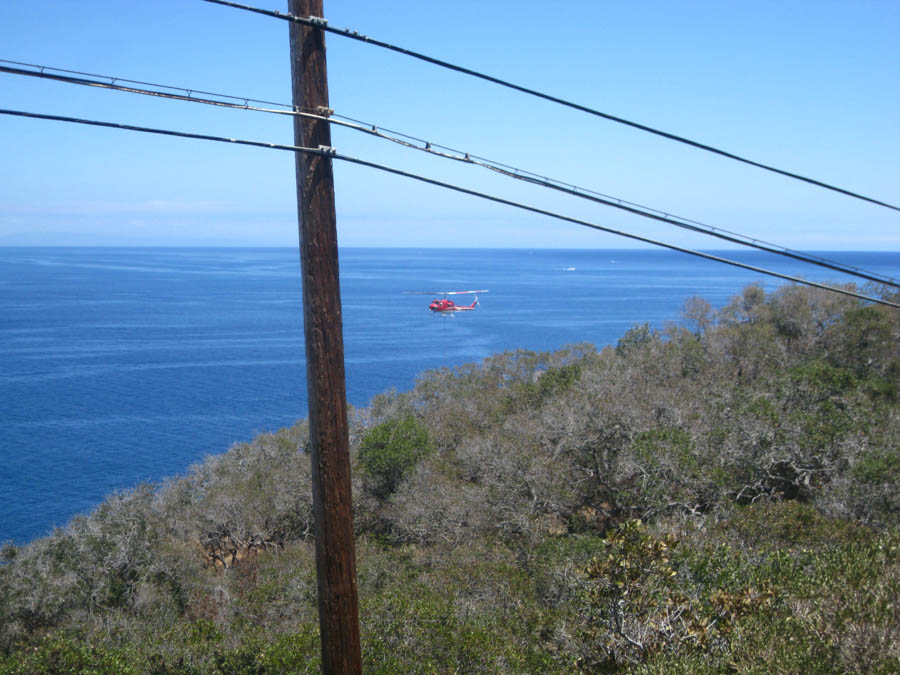 Avalon Catalina to celebrate Sue's birthday 7/10/2015