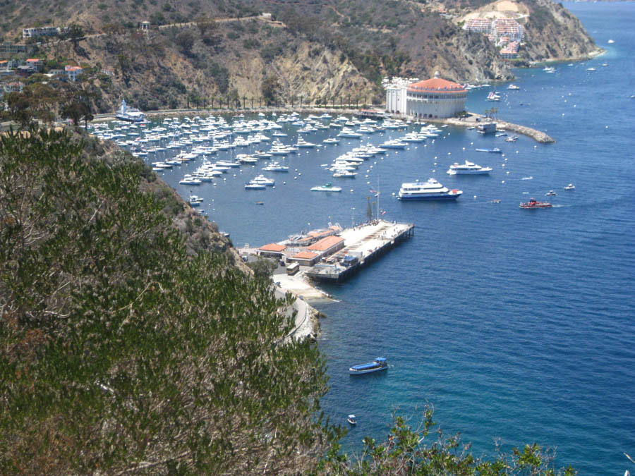 Avalon Catalina to celebrate Sue's birthday 7/10/2015