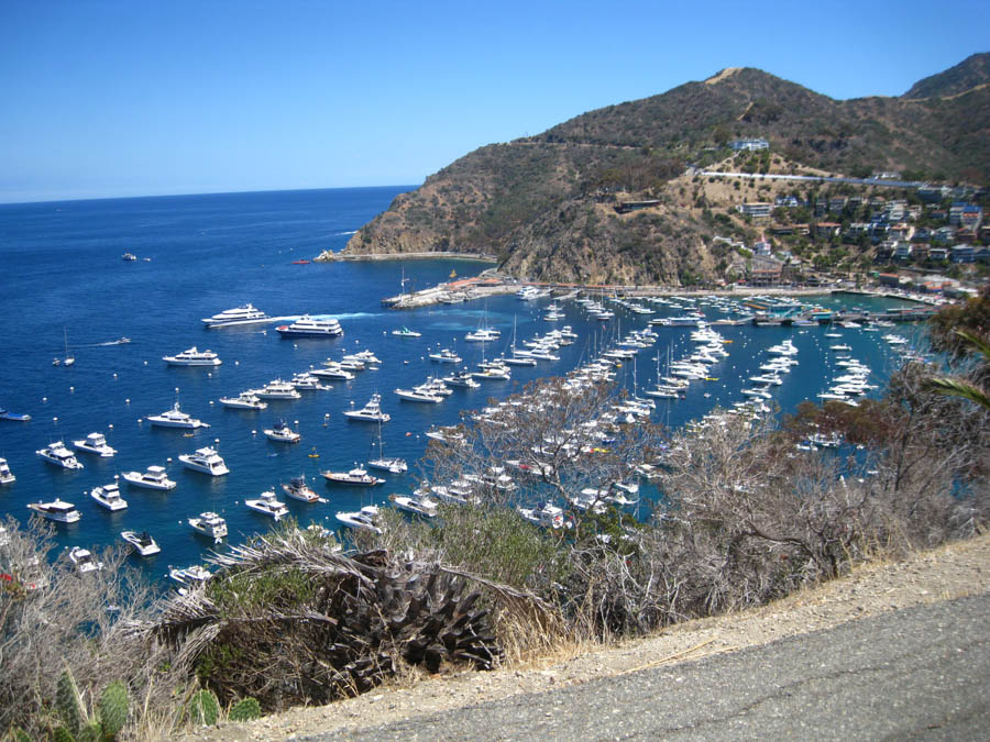 Avalon Catalina to celebrate Sue's birthday 7/10/2015