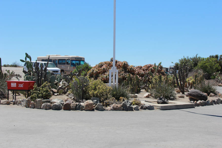 Sue celebrates her 65th birthday on Catalina