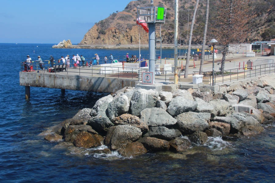 Sue celebrates her 65th birthday on Catalina