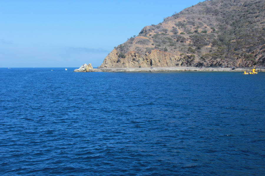 Sue celebrates her 65th birthday on Catalina