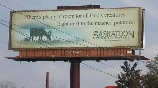 Saskatoon And Mashed Potatoes