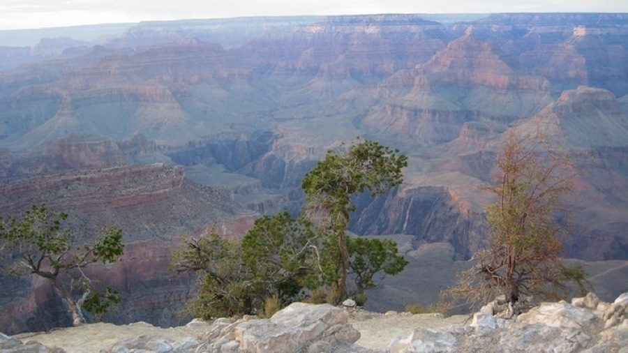 At the Grand Canyon