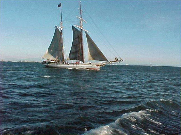 Tall Ships 2000