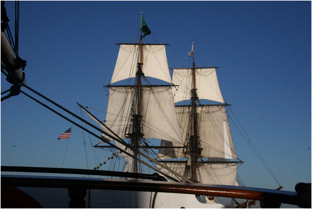 Tall Ship adventure 2007