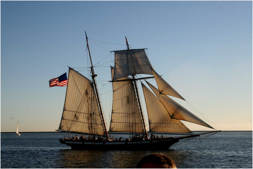 Tall Ship adventure 2007