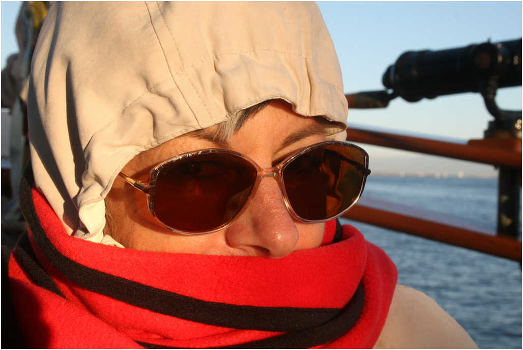 Tall Ship adventure 2007