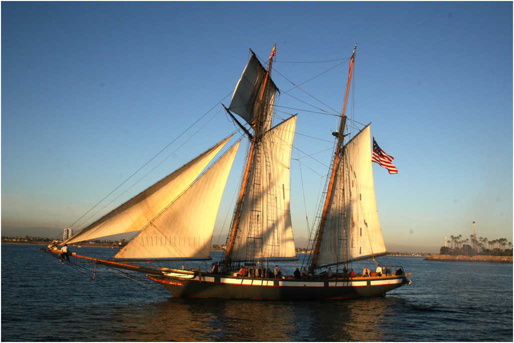 Tall Ship adventure 2007