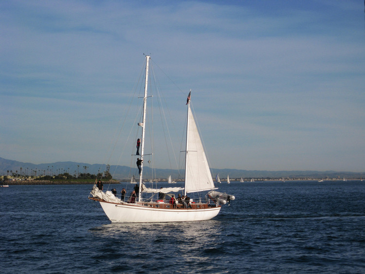 Tall Ships 2009