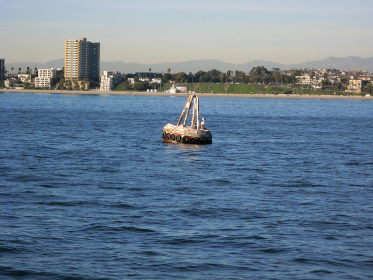 Tall Ships 2009