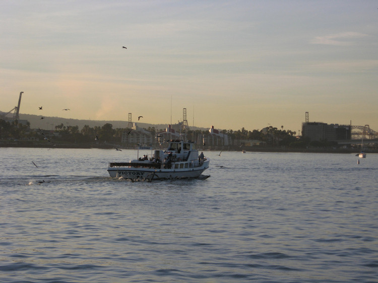 Tall Ships 2009