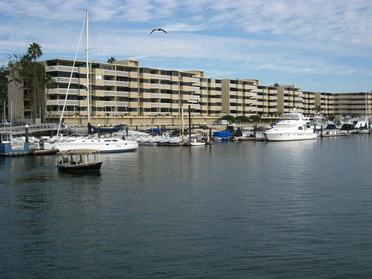 Tall Ships In Newport Harbor January 2010