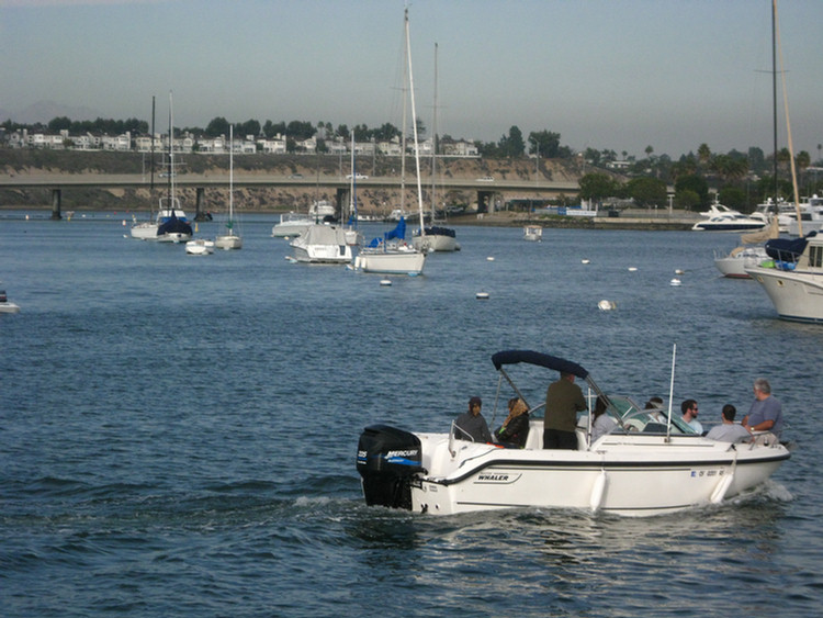 Tall Ships In Newport Harbor January 2010