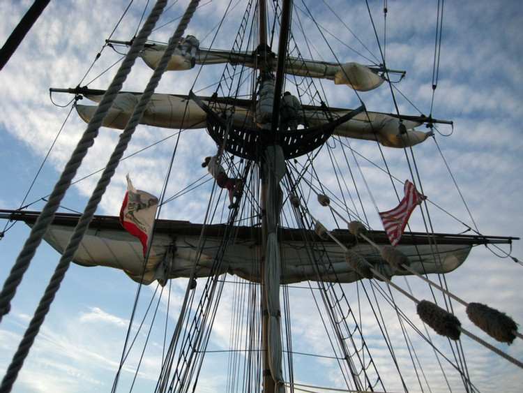 Tall Ships In Newport Harbor January 2010