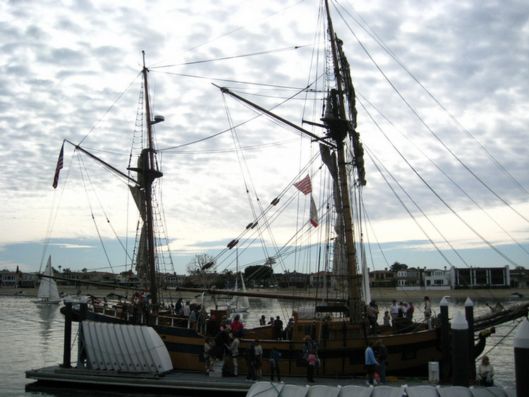 Tall Ships In Newport Harbor January 2010