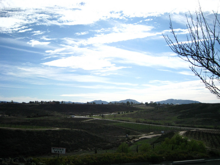 Temecula wine tasting January 2010 With Saams