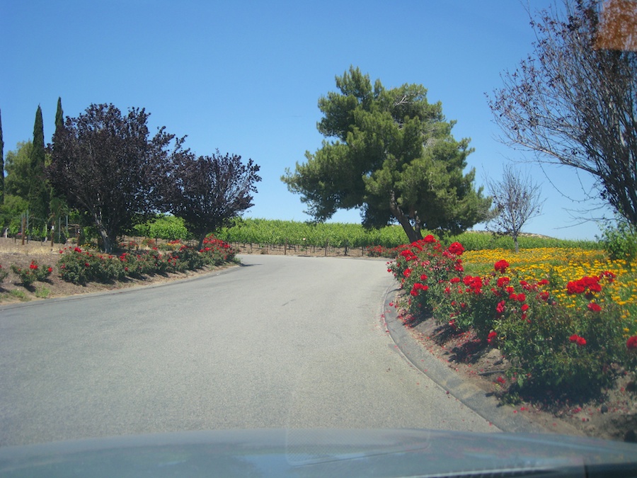 Temecula run May 12th 2014