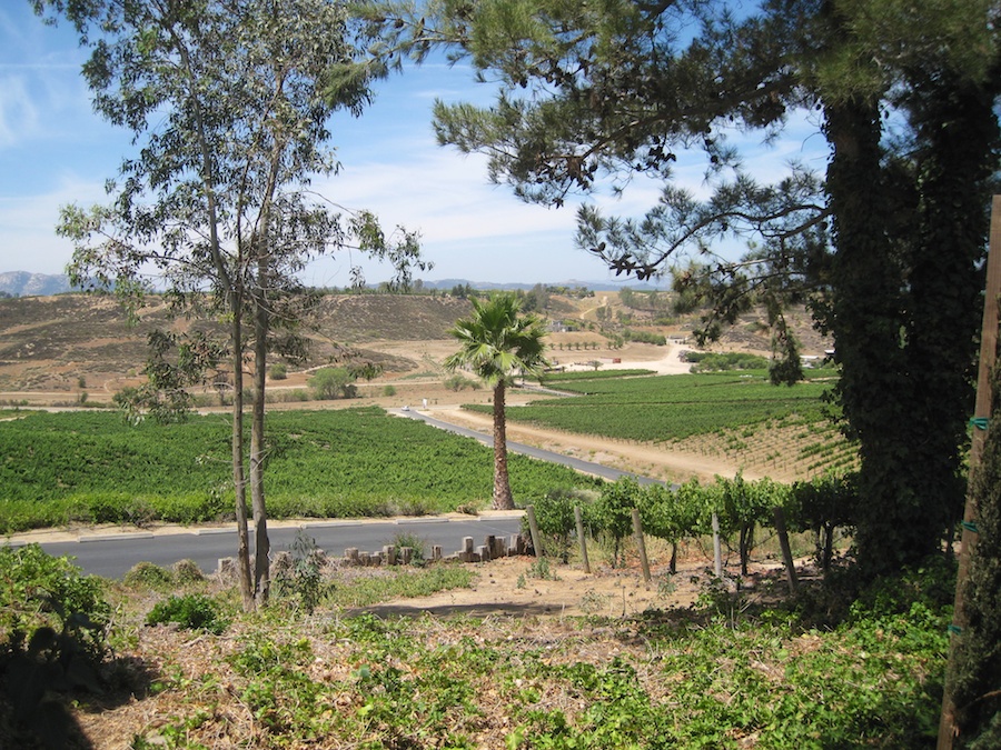 Jun 2014 Temecula wine adventure