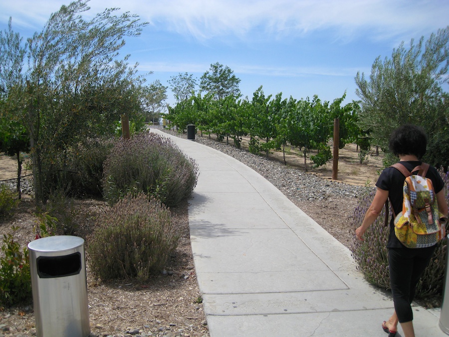 Jun 2014 Temecula wine adventure