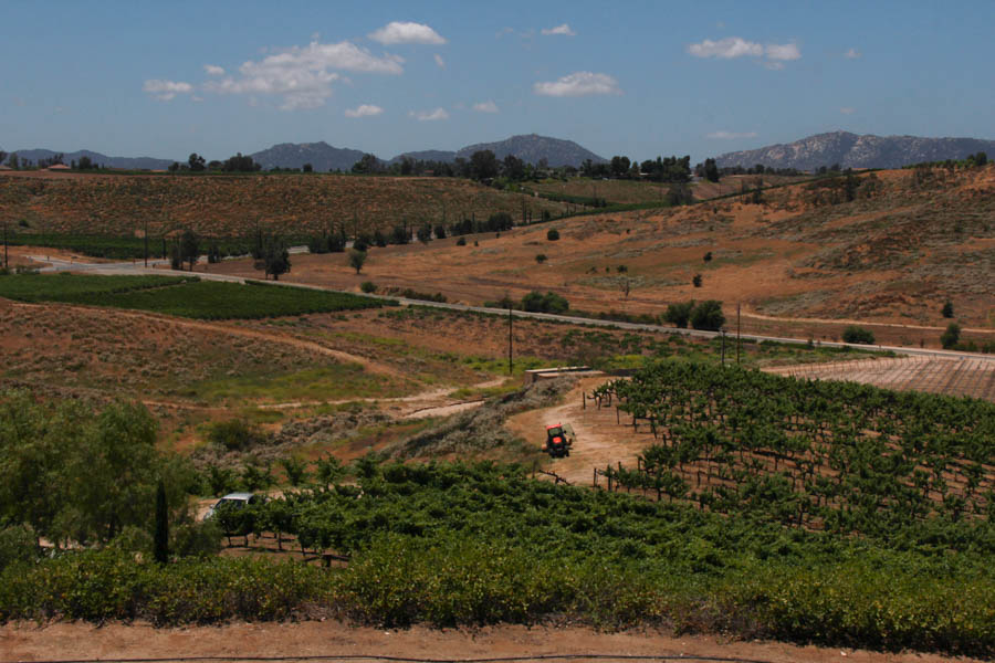 Temecula June 2017 With Donna