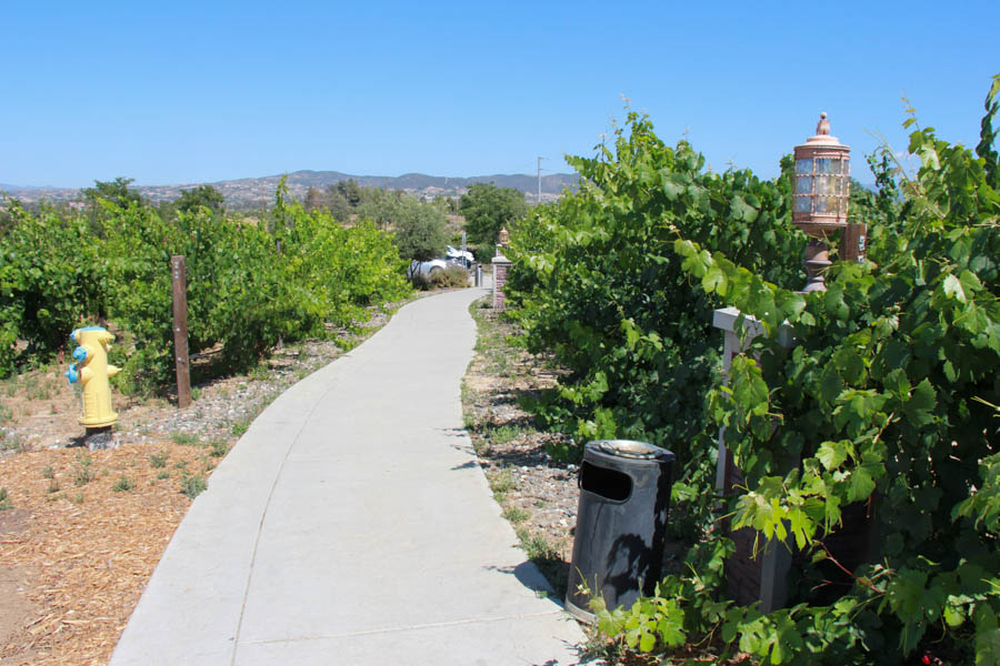 Temecula June 2017 With Donna