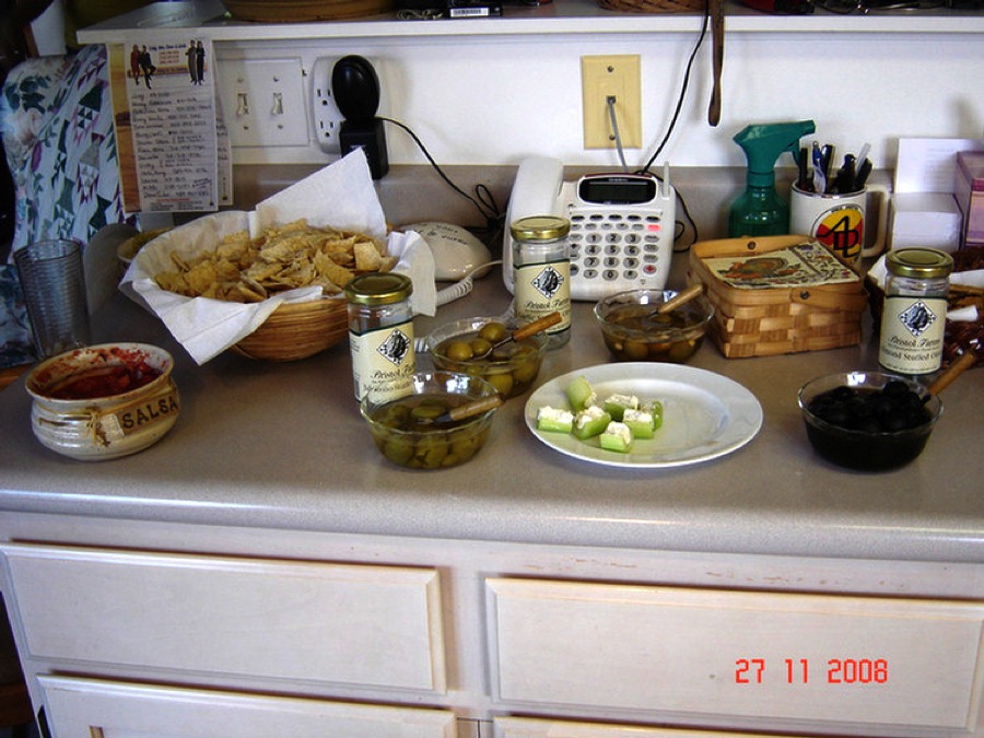 Pete's Camera Thanksgiving 2008