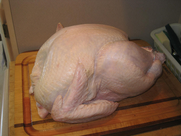 Mr. Bird in all his nakedness